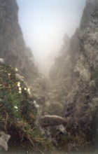 Mindelheimer - zum Fiderepaß (im Nebel)