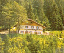 Rifugio Alpenrose 1