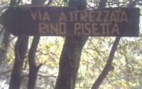 Rino Pisetta: Hinweis im Wald