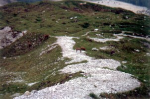 Abstieg von der Südspitze - Schönfeld